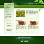 design template design template