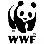 wwf logo wwf logo